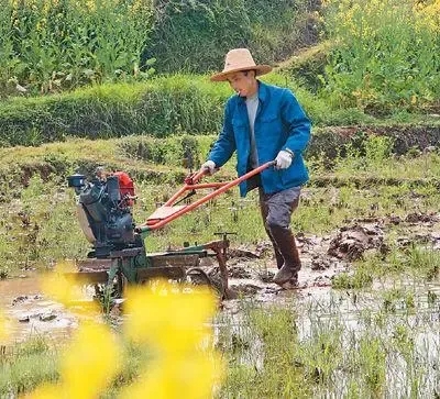 疫情防控的基本常识是什么？（疫情防控和春耕备耕两不误）